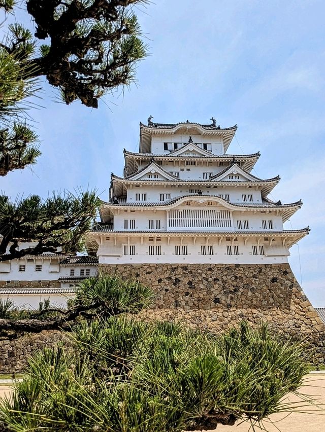 姬路 | 日本國寶名城，宛如百百鷺展翅的姬路城