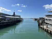 ⚓ Auckland Downtown Ferry Terminal｜渡往海灣與島嶼的起點