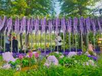 The cute Metamong Garden at Boramae Park