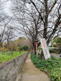 Kita Ward: A Northern Pause Between Heritage and Hillside Calm