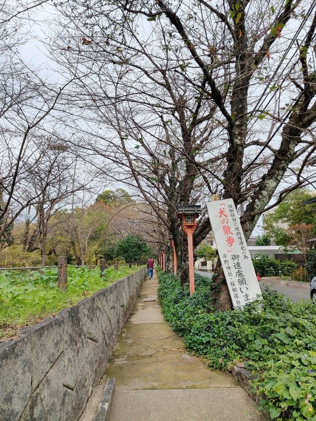 Kita Ward: A Northern Pause Between Heritage and Hillside Calm