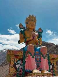🏞️ Nubra Valley – The Desert in the Sky 🌄🐪