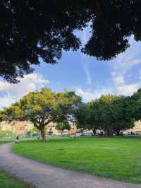 🌳【中壢親子寵物雙友善】興仁親子公園：綠意草皮 × 溜滑梯 × 野餐散步超放鬆！