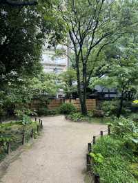일본 여름을 느낄 수 있는 후쿠오카 정원카페 🌿