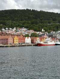 Bergen City Walk & Fjord Cruise – A Perfect Norwegian Day