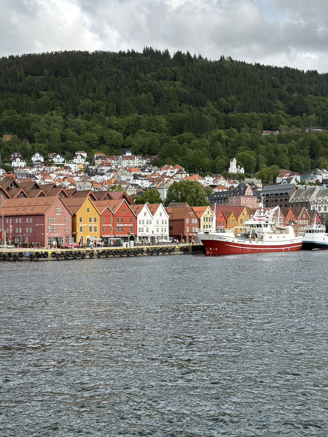 Bergen City Walk & Fjord Cruise – A Perfect Norwegian Day