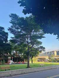 🌳竹北兒18公園｜綠意中的親子天堂，滑梯草地一次擁有！