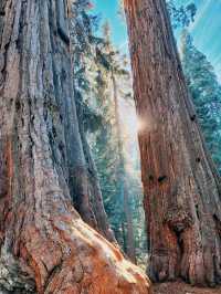 Canyons, Stars & Giant Landscapes – America’s Wild Soul