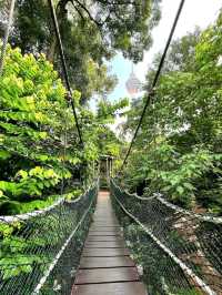 KL Eco Forest Park & Canopy Walk: A Green Escape in the City