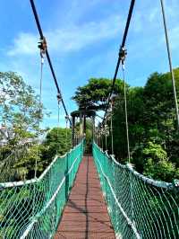 KL Eco Forest Park & Canopy Walk: A Green Escape in the City