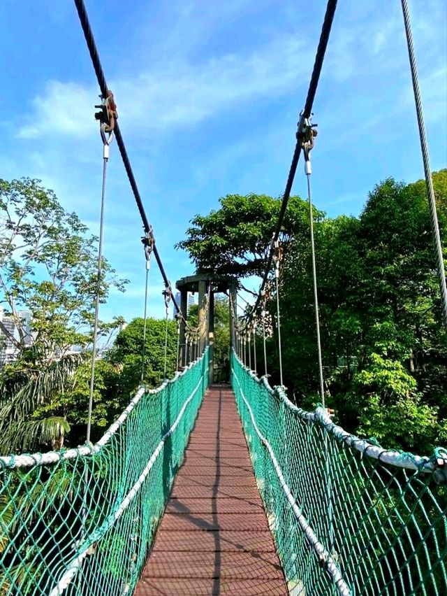 KL Eco Forest Park & Canopy Walk: A Green Escape in the City