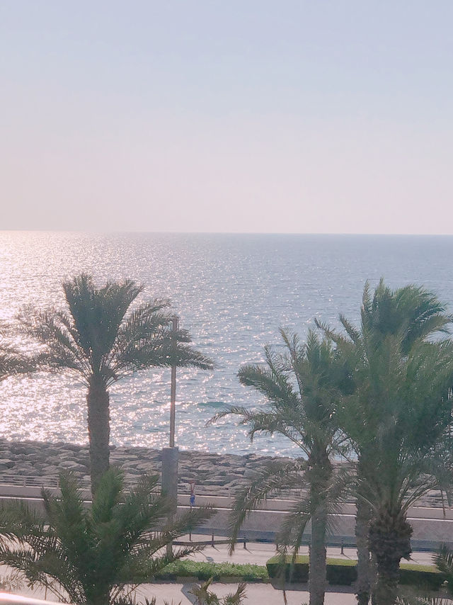 🌊 꿈속에서나 보던 그곳! 두바이 아틀란티스 더 팜 완벽 가이드 🏝️
