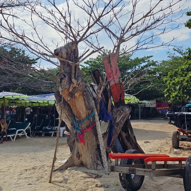 หาดนวล @เกาะล้าน 