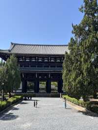 🍃 Hidden Kyoto: Zen Gardens & Tree Views