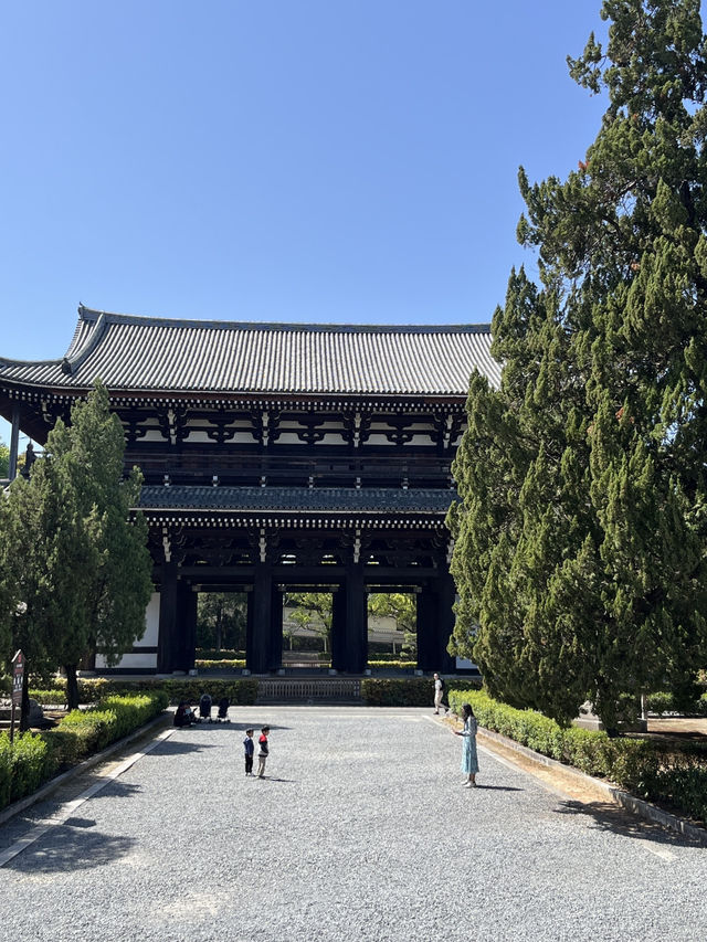 🍃 Hidden Kyoto: Zen Gardens & Tree Views