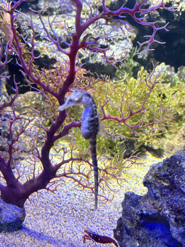 虛實交織的平行宇宙：桃園Xpark