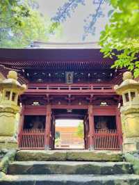 Zen & Gold: A Solo Journey to Kanazawa’s Hidden Jewel, Jinmu-ji Temple