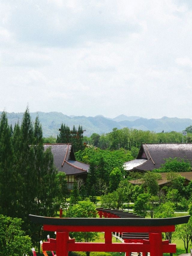 ยกญี่ปุ่นมาไว้ที่เชียงใหม่!! @Hinoki Land