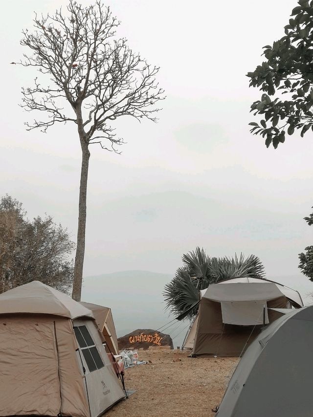 กางเต็นท์ นอนดูดาว สัมผัสลมหนาว ที่อุทยานแห่งชาติทับลาน @วังน้ำเขียว