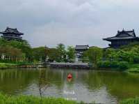 Paddles, Pulse, and Peace: Dragon Boating at Haizhu Lake