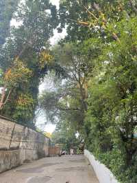 The Commune คาเฟ่ ภูเก็ต