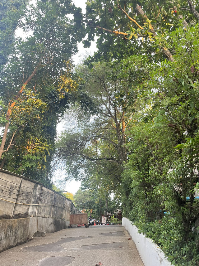 The Commune คาเฟ่ ภูเก็ต
