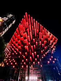 🌃 Solo Adventure: Chongqing’s Dazzling Nightscapes – Where Megacity Meets Mountains