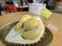 🌳 Hidden Gem in the Hills: 838 Durian Balik Pulau