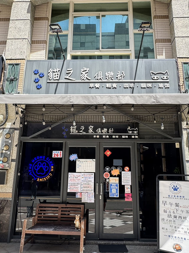 在高雄，遇見一間會「喵」的港味回憶 ——《貓之家俱樂部 Cat’s Home Club》