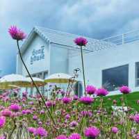Donghouse Khaoyai