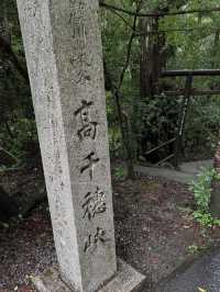 【宮崎】神話と縁結びの聖地⛩️高千穂神社で心を結ぶ旅