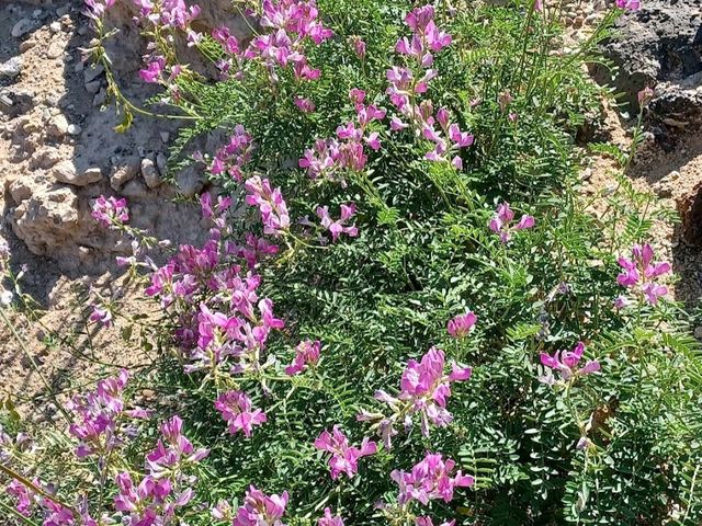 Black Mesa State Park – Kenton, OK