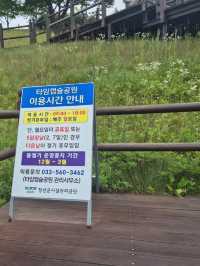 높은 해발고도 탁트인조망 💚정선타임캡슐공원