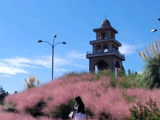 제주도 꽃보기 좋은 곳