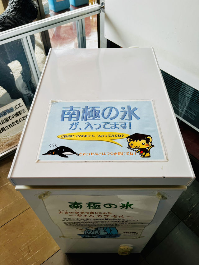 작아도 있을 건 다 있어 노샷푸 한류 수족관🐧 & 왓카나이 청소년 과학관