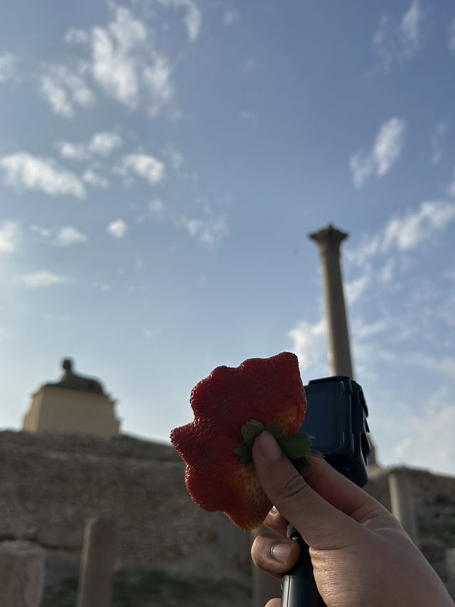 The Pillar Of Shame: Diocletian’s Victory Over Human Knowledge