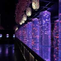 【東京/銀座🇯🇵】まさに日本の芸術🇯🇵アートアクアリウム