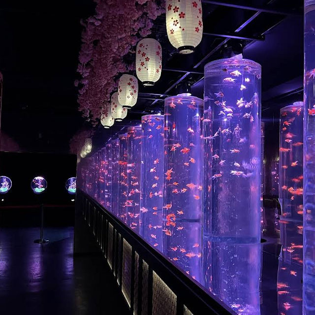 【東京/銀座🇯🇵】まさに日本の芸術🇯🇵アートアクアリウム