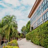 Hilltop Haven and Tropical Breath