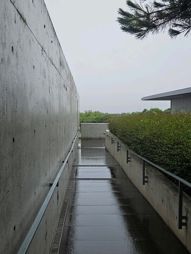 제주도 요즘 핫한 미술관, 본태박물관
