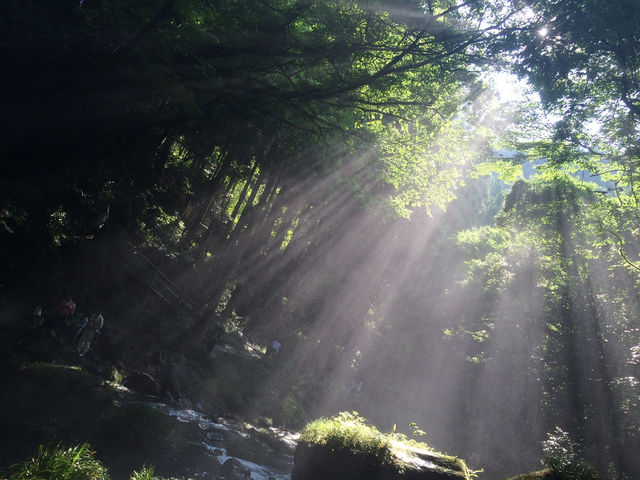 【鍋ヶ滝｜“滝の裏側に入れる！癒しと神秘のパワースポット”】