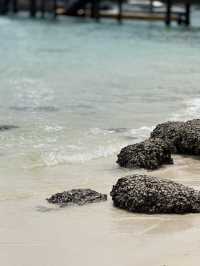 🌊มุมถ่ายรูปเกาะล้านน้ำใส หาดทรายขาวมาก  