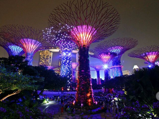 🌟 Supertree Grove – สิงคโปร์ 🌳✨