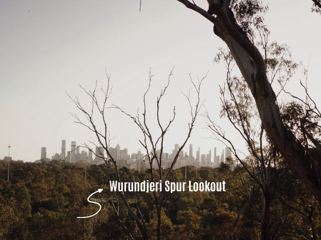 Walking to 5 Secret Hidden Spots in Melbourne