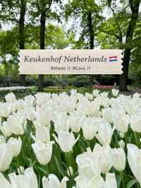 🌷 Keukenhof… เหมือนหลุดเข้าไปอยู่ในเทพนิยายดอกไม้