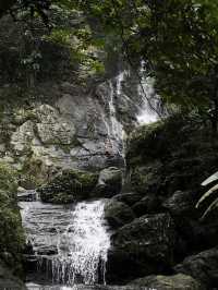 evokes serenity and timelessness