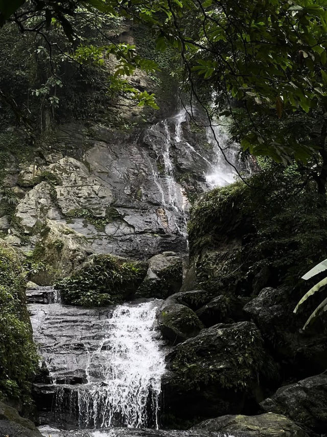 evokes serenity and timelessness