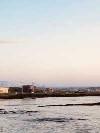 Potential for Dolphin Sightings and Coastal Wildlife