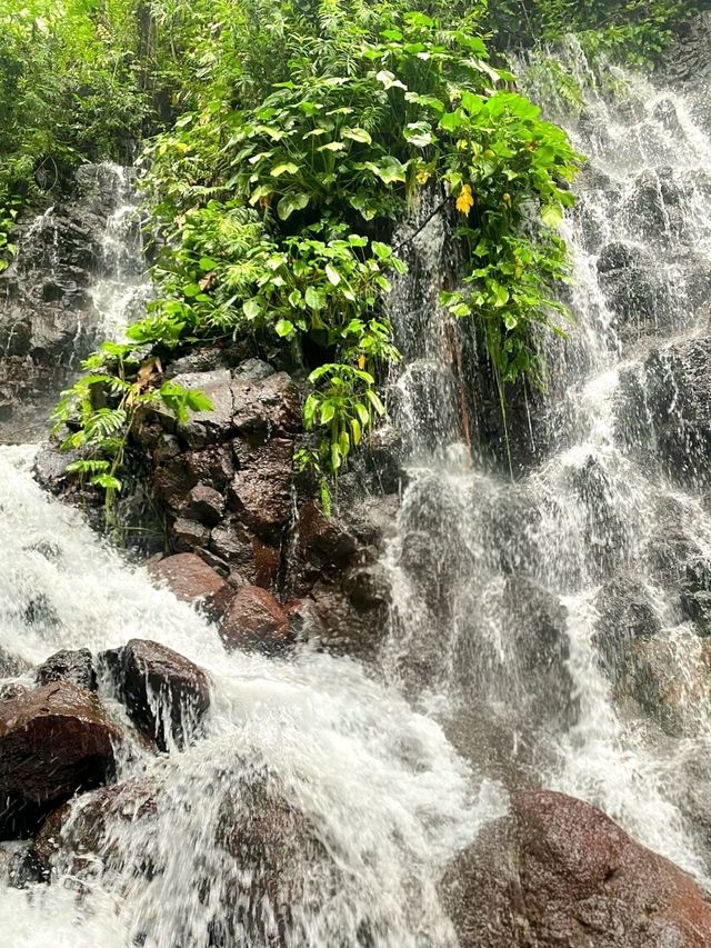 Hidden Gem of Mindanao: Tinago Falls, Iligan City