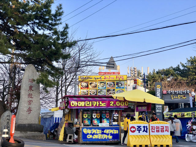 🌊釜山與大邱雙城漫遊｜入住SOLARIA HOTEL✨